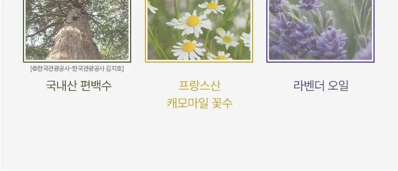 [멜라토닌함유] 라운드어라운드 슬립 베러 필로우 미스트 50ml 3종 상세페이지 7